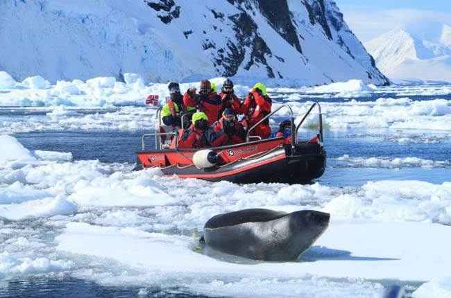 ms-fram - imagenes 0