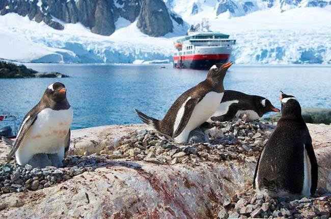 ms-fram - imagenes 8