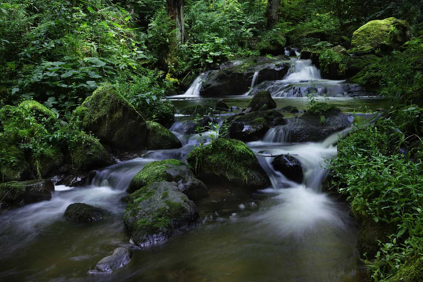 Cruzeiros de Ravena, Itália