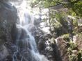 Merveilles de la nature